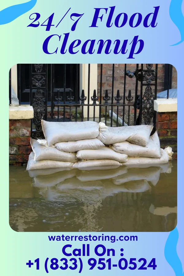 24/7 Flood Cleanup in Bellefonte, DE