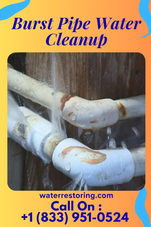 Burst Pipe Water Cleanup in Bellefonte, DE
