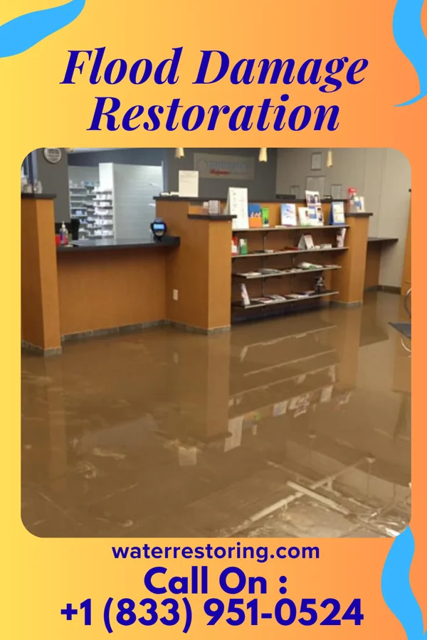 Flood Damage Restoration in Bellefonte, DE
