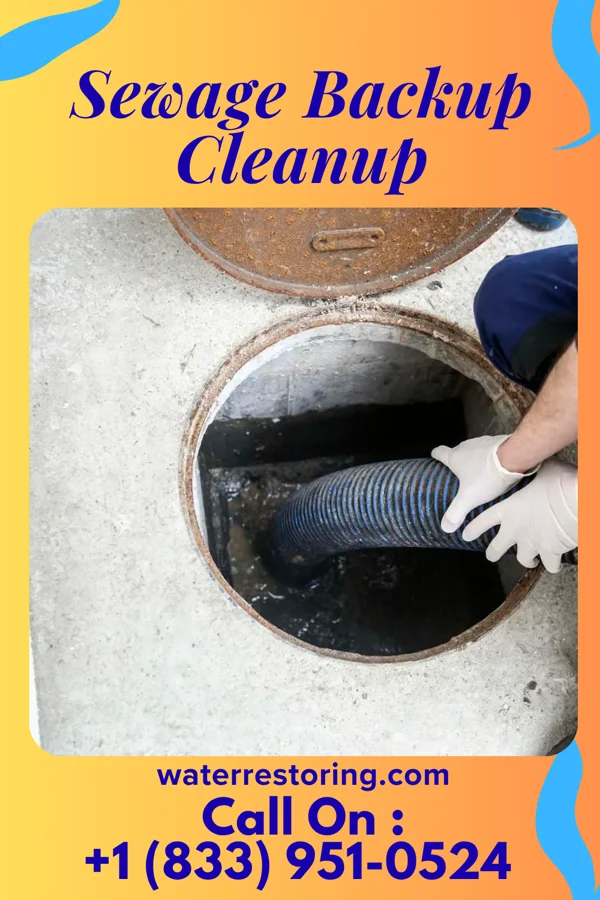 Sewage Backup Cleanup in Bellefonte, DE